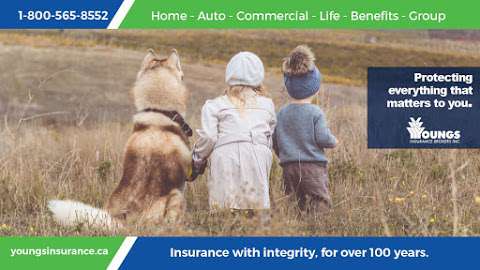 Youngs Insurance Brokers Fort Erie